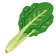 vegetable_komatsuna[1]